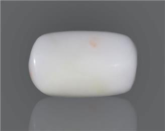 Natural White Coral  15.69 CTS (50169)